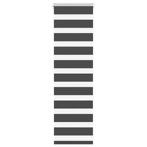 Doppelrollo Schwarz 50x100 cm