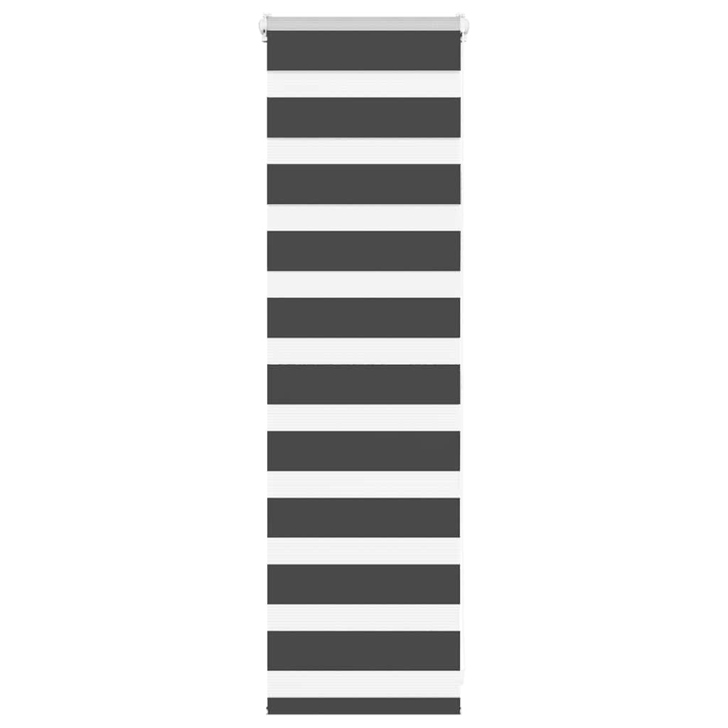 Doppelrollo Schwarz 55x100 cm