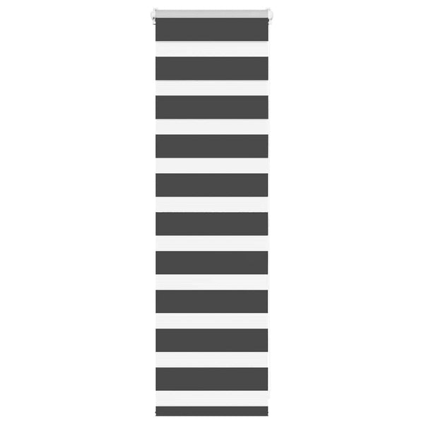 Doppelrollo Schwarz 55x100 cm