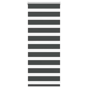 Doppelrollo Schwarz 60x100 cm