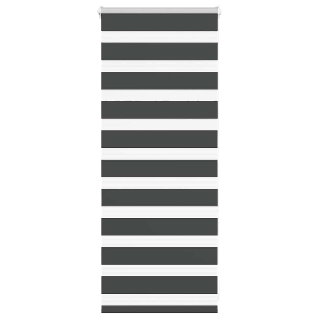 Doppelrollo Schwarz 60x100 cm