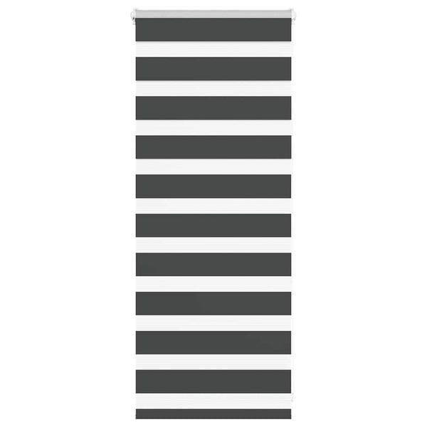 Doppelrollo Schwarz 60x100 cm