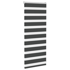 Doppelrollo Schwarz 60x100 cm