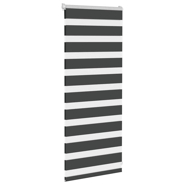 Doppelrollo Schwarz 60x100 cm