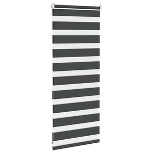Doppelrollo Schwarz 60x100 cm