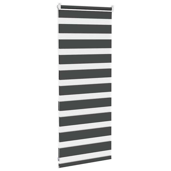 Doppelrollo Schwarz 60x100 cm