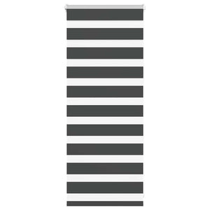 Doppelrollo Schwarz 65x100 cm