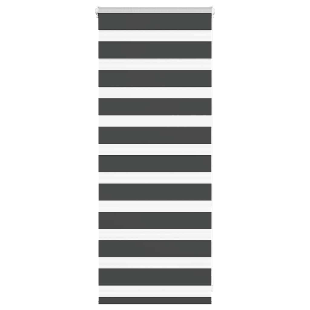 Doppelrollo Schwarz 65x100 cm