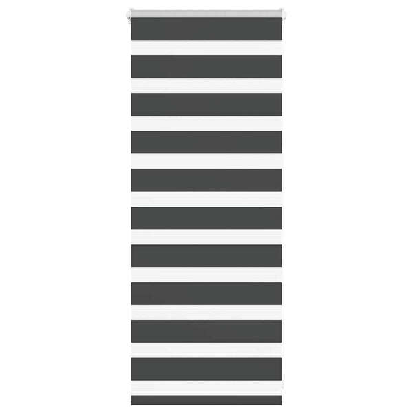 Doppelrollo Schwarz 65x100 cm