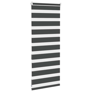Doppelrollo Schwarz 65x100 cm