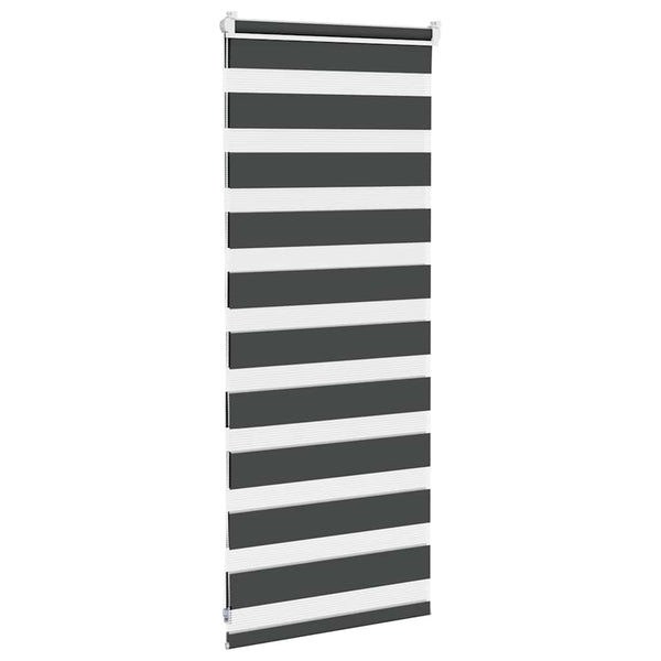 Doppelrollo Schwarz 65x100 cm