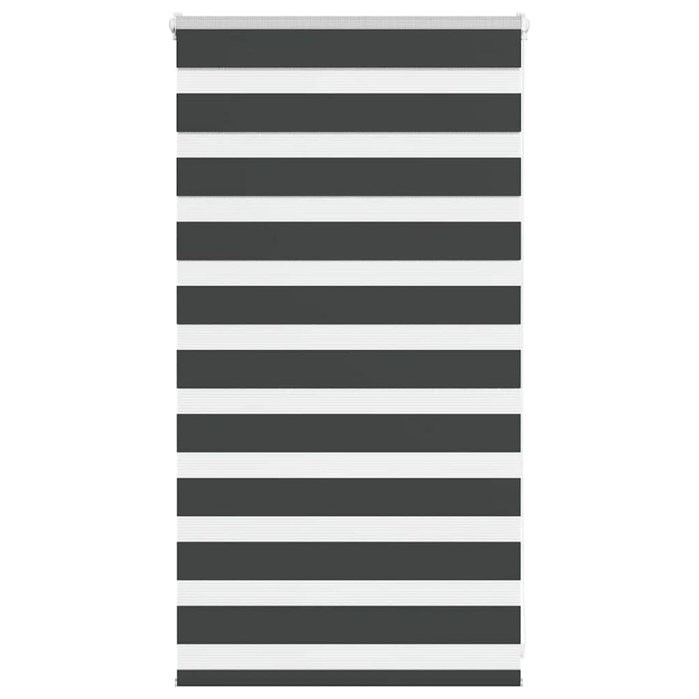 Doppelrollo Schwarz 75x100 cm