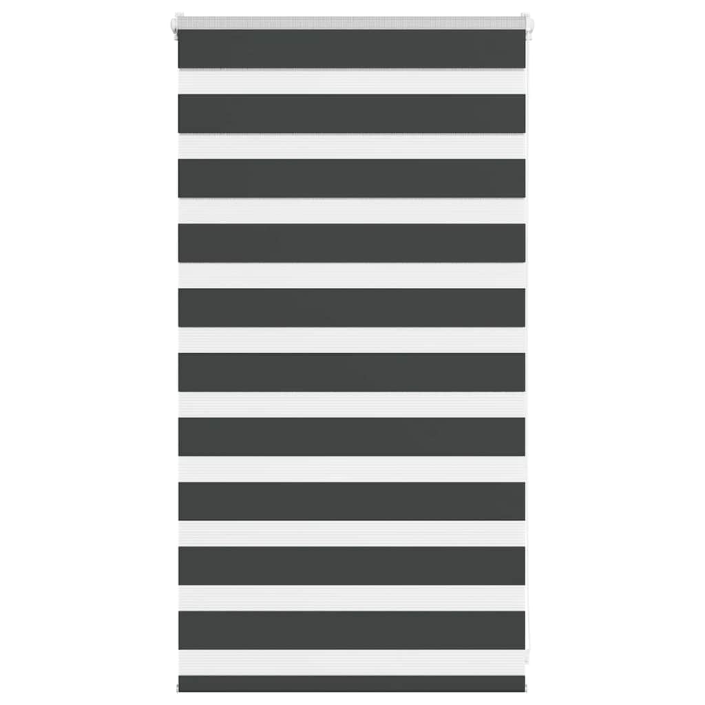Doppelrollo Schwarz 75x100 cm
