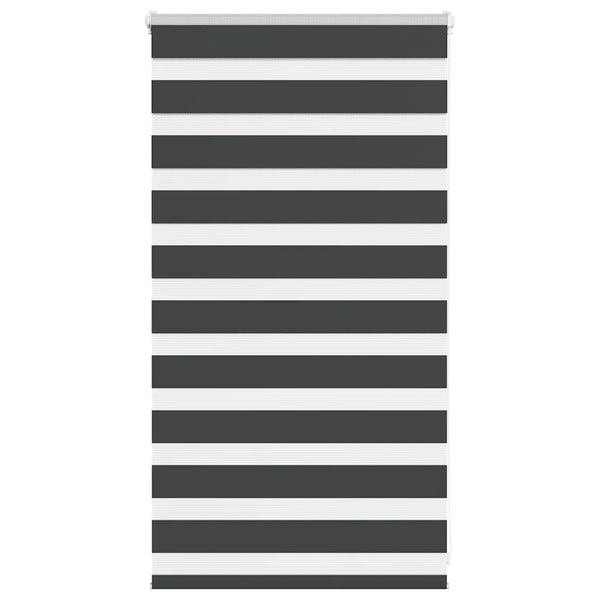 Doppelrollo Schwarz 75x100 cm