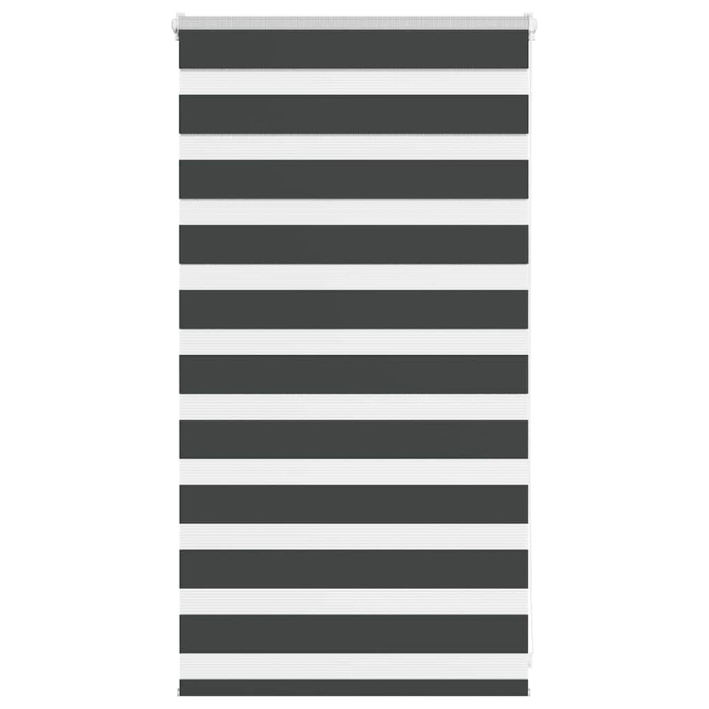 Doppelrollo Schwarz 80x100 cm