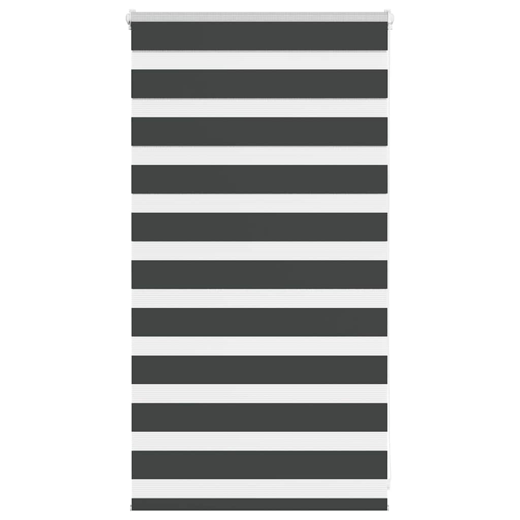 Doppelrollo Schwarz 80x100 cm
