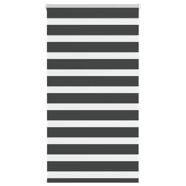 Doppelrollo Schwarz 80x100 cm