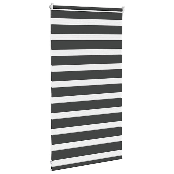 Doppelrollo Schwarz 80x100 cm
