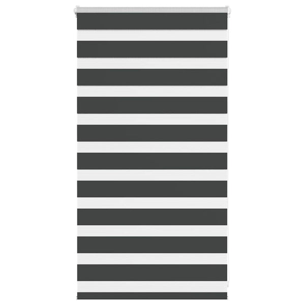 Doppelrollo Schwarz 90x100 cm