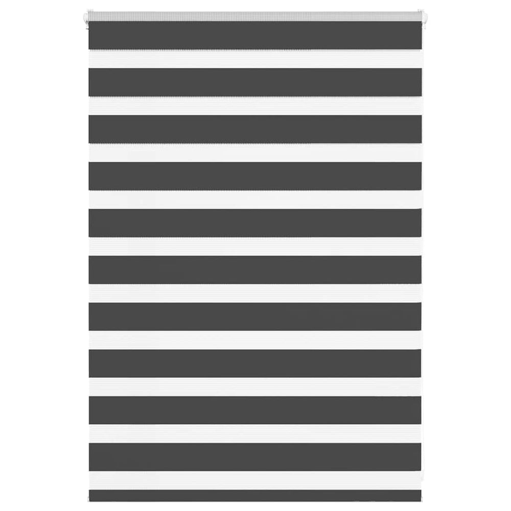 Doppelrollo Schwarz 95x100 cm