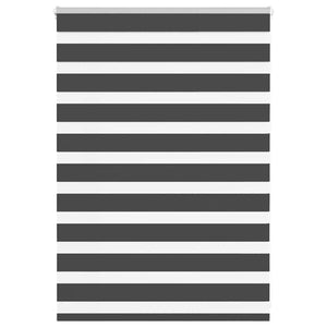 Doppelrollo Schwarz 95x100 cm