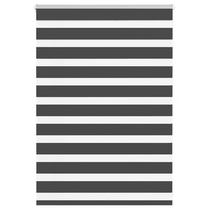 Doppelrollo Schwarz 100x100 cm