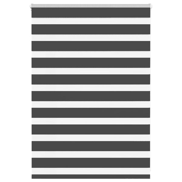 Doppelrollo Schwarz 100x100 cm