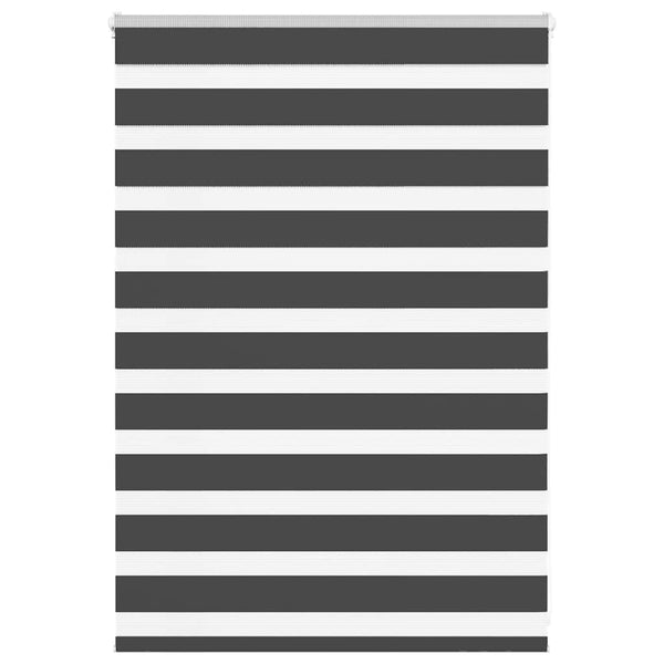 Doppelrollo Schwarz 115x100 cm
