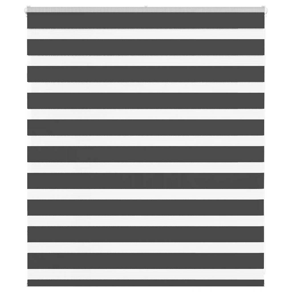 Doppelrollo Schwarz 125x100 cm