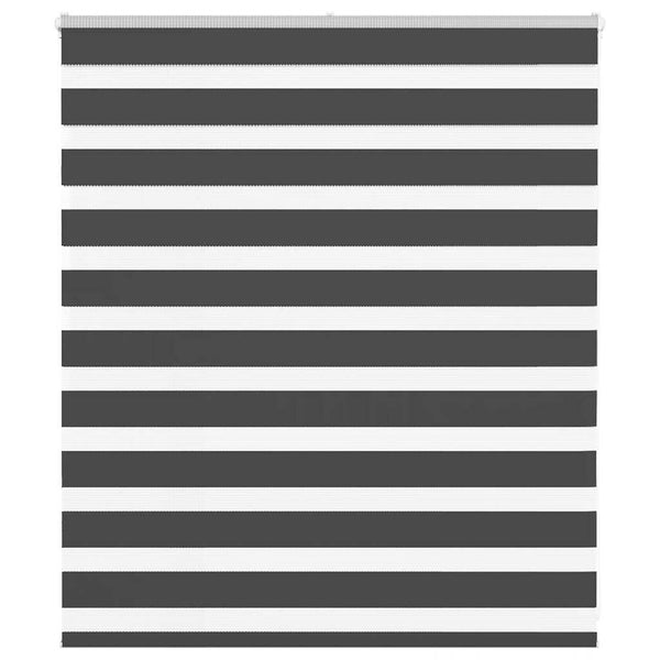 Doppelrollo Schwarz 125x100 cm