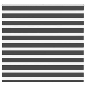 Doppelrollo Schwarz 165x100 cm