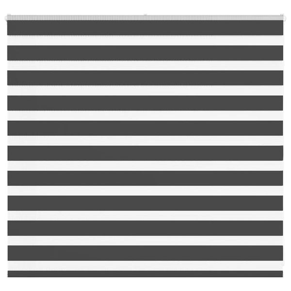 Doppelrollo Schwarz 165x100 cm