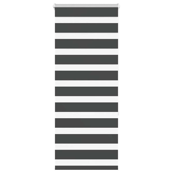 Schwarzes Doppelrollo 55x150 cm