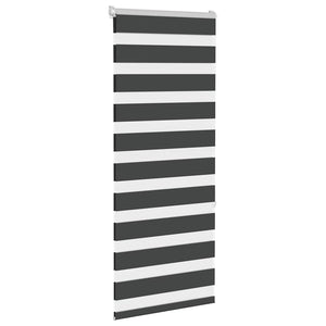 Schwarzes Doppelrollo 55x150 cm