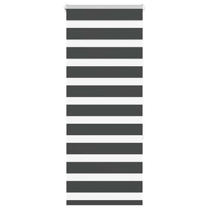 Doppelrollo Schwarz 60x150 cm