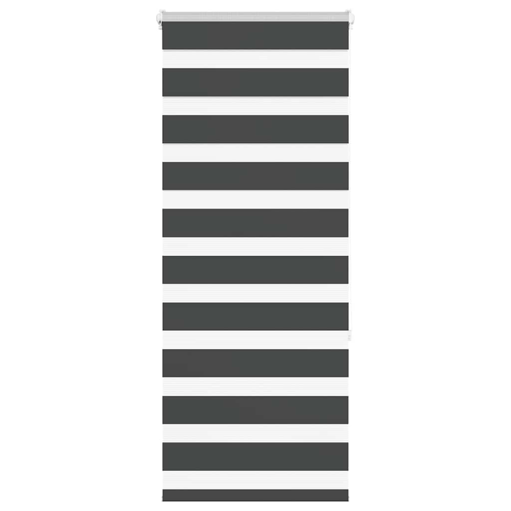 Doppelrollo Schwarz 60x150 cm