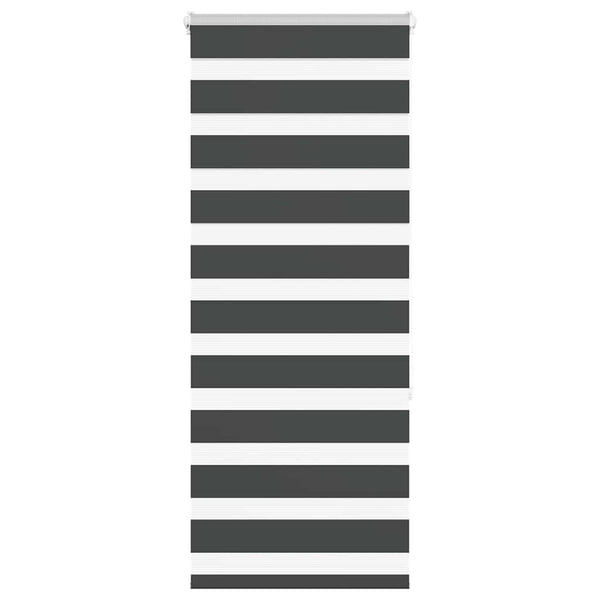 Doppelrollo Schwarz 60x150 cm