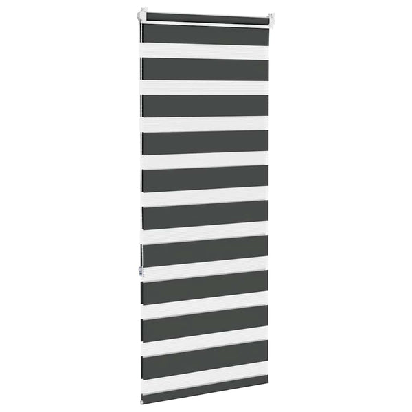 Doppelrollo Schwarz 60x150 cm