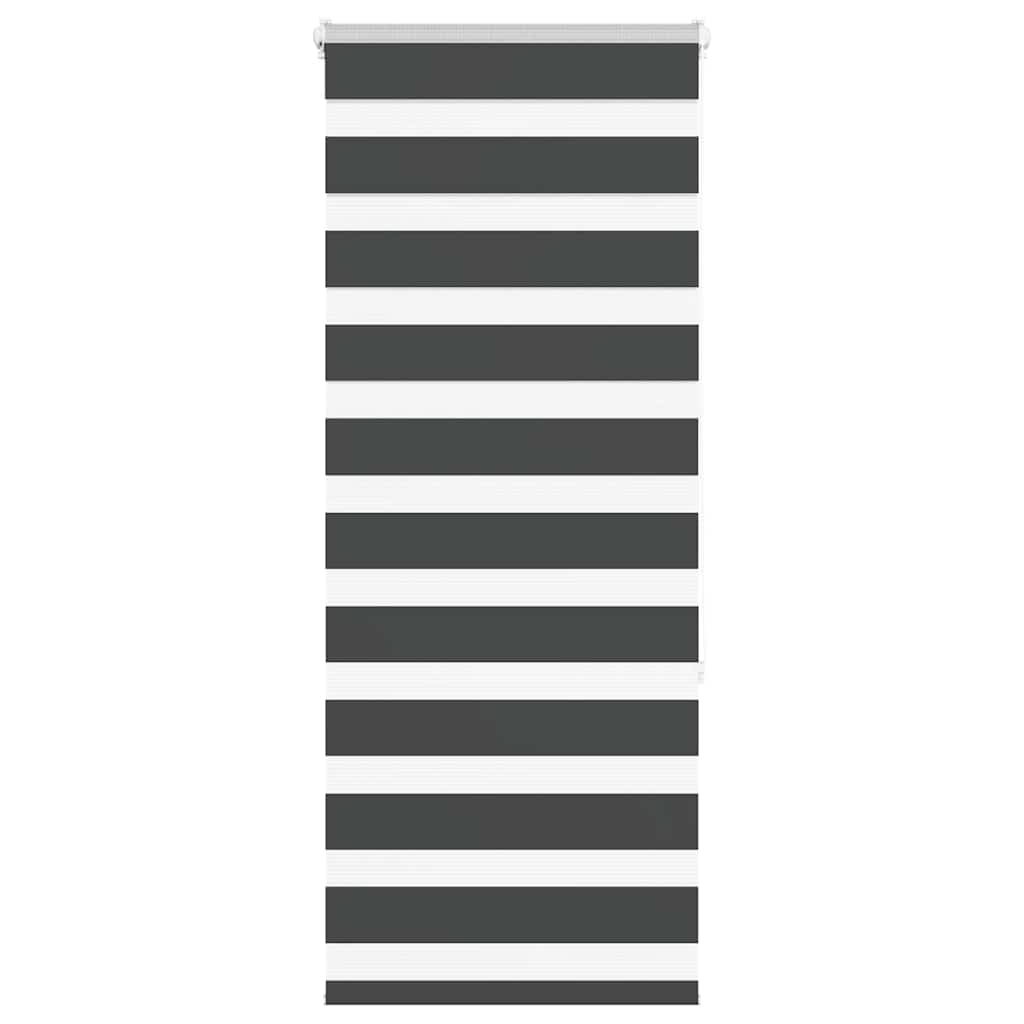 Doppelrollo Schwarz 65x150 cm
