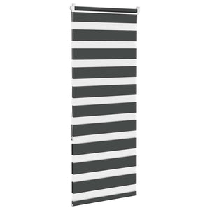 Doppelrollo Schwarz 65x150 cm