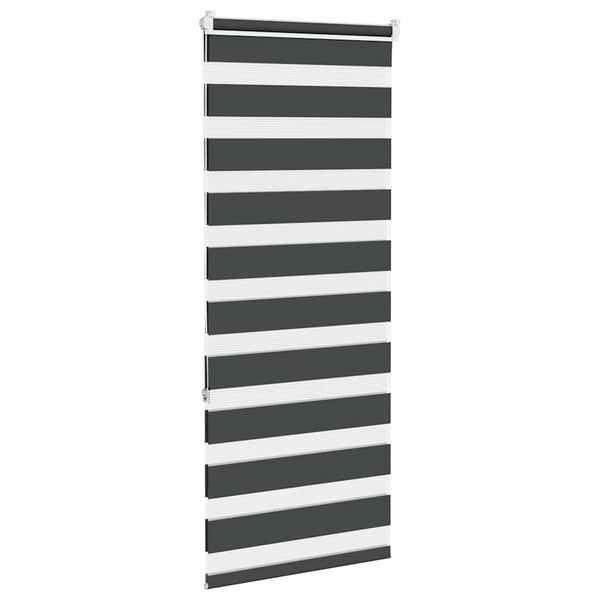 Doppelrollo Schwarz 65x150 cm