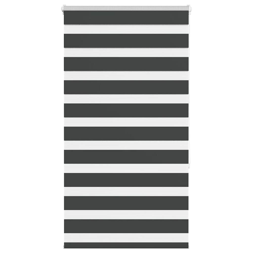 Doppelrollo Schwarz 75x150 cm