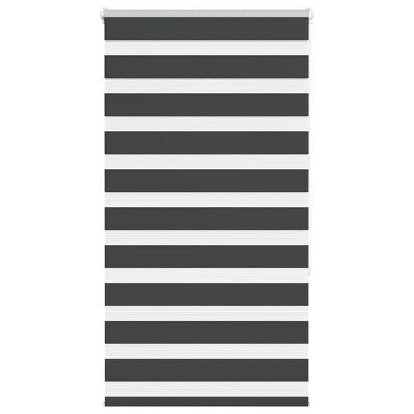 Doppelrollo Schwarz 75x150 cm
