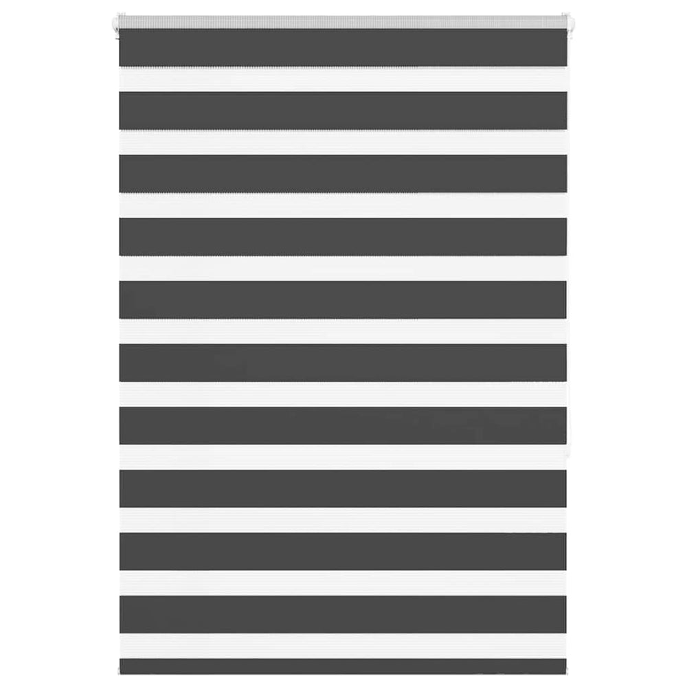Doppelrollo Schwarz 95x150 cm