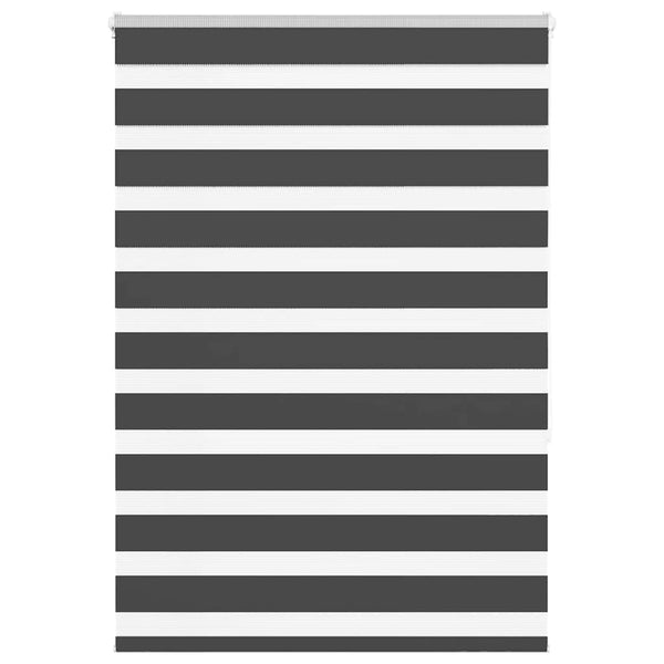 Doppelrollo Schwarz 95x150 cm
