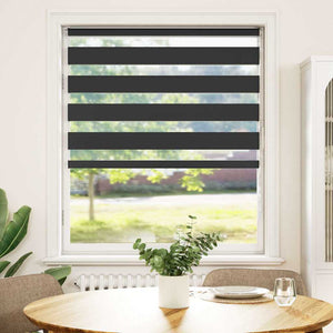 Doppelrollo Schwarz 95x150 cm