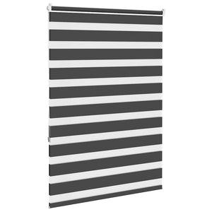 Doppelrollo Schwarz 95x150 cm