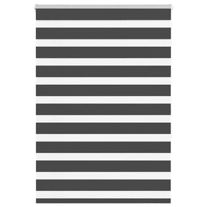 Doppelrollo Schwarz 110x150 cm