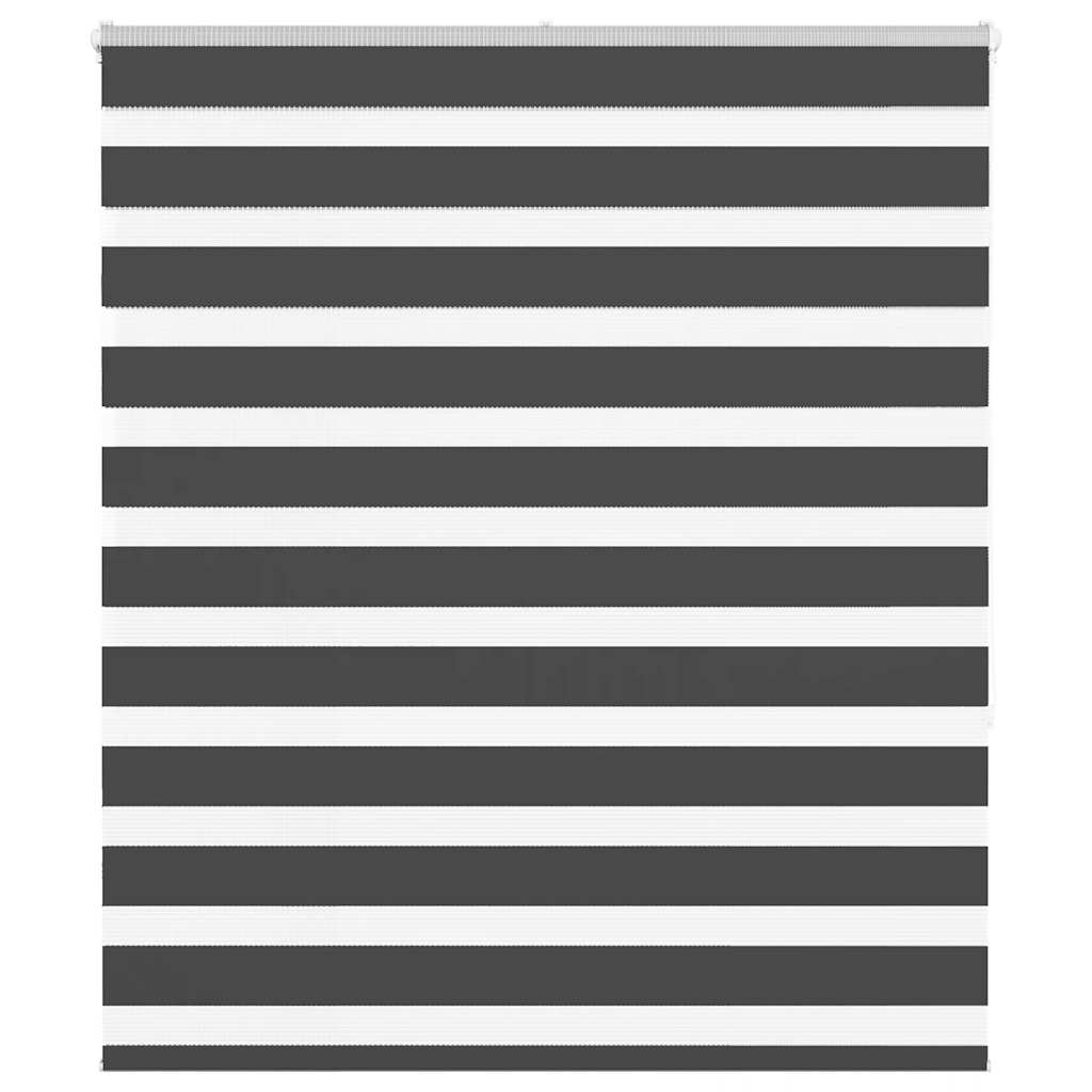 Doppelrollo Schwarz 125x150 cm