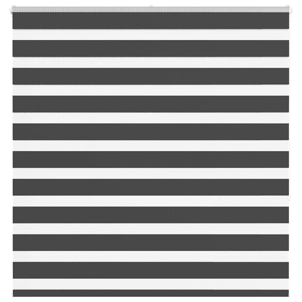 Doppelrollo Schwarz 150x150 cm